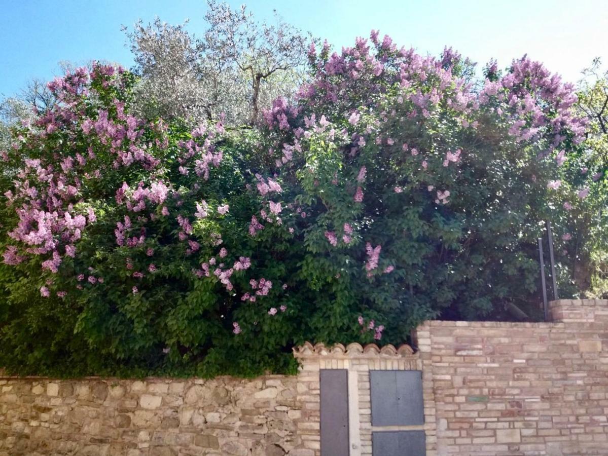 Lavanda E Rosmarino Home Assisi Exterior foto